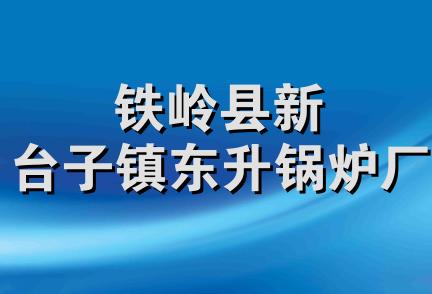 铁岭县新台子镇东升锅炉厂