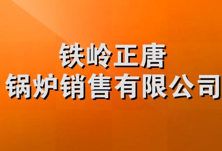 铁岭正唐锅炉销售有限公司