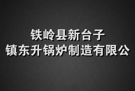 铁岭县新台子镇东升锅炉制造有限公司