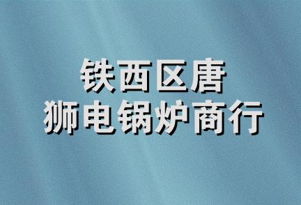 铁西区唐狮电锅炉商行