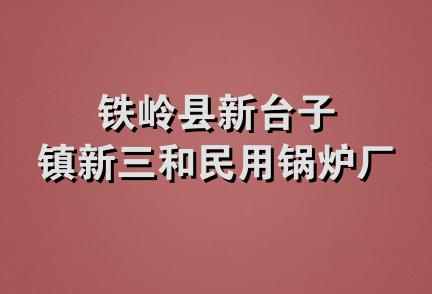 铁岭县新台子镇新三和民用锅炉厂