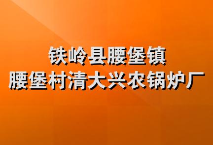 铁岭县腰堡镇腰堡村清大兴农锅炉厂