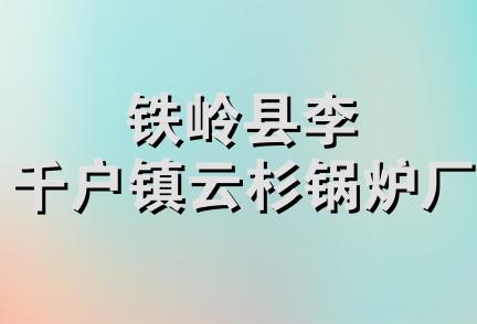 铁岭县李千户镇云杉锅炉厂