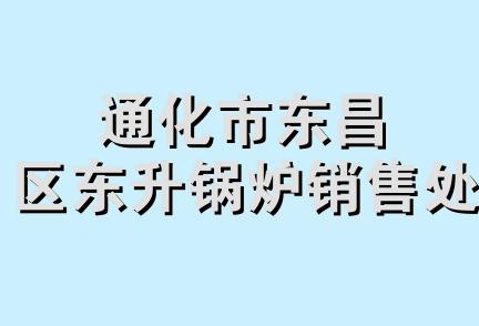 通化市东昌区东升锅炉销售处