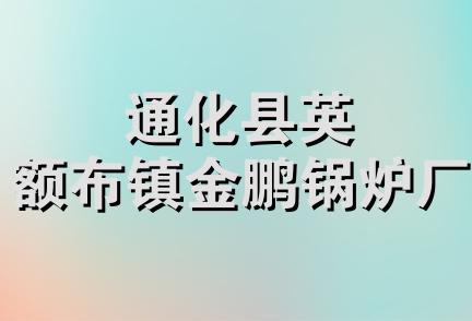 通化县英额布镇金鹏锅炉厂