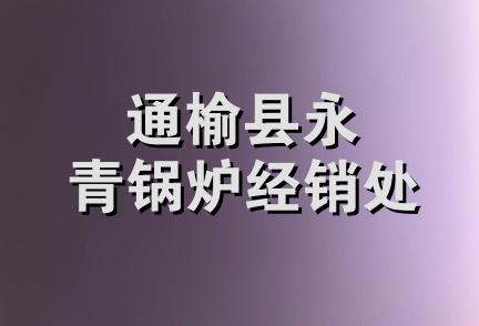 通榆县永青锅炉经销处