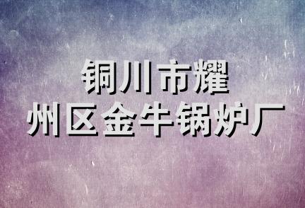 铜川市耀州区金牛锅炉厂