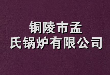 铜陵市孟氏锅炉有限公司