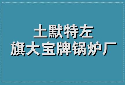 土默特左旗大宝牌锅炉厂