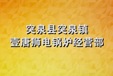 突泉县突泉镇壹唐狮电锅炉经营部