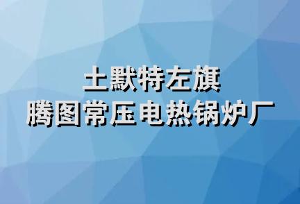 土默特左旗腾图常压电热锅炉厂