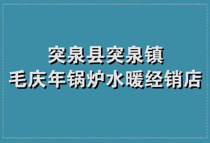 突泉县突泉镇毛庆年锅炉水暖经销店