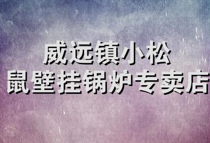 威远镇小松鼠壁挂锅炉专卖店