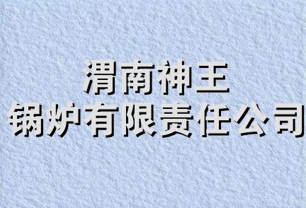 渭南神王锅炉有限责任公司