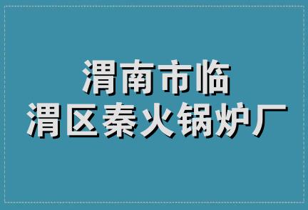 渭南市临渭区秦火锅炉厂