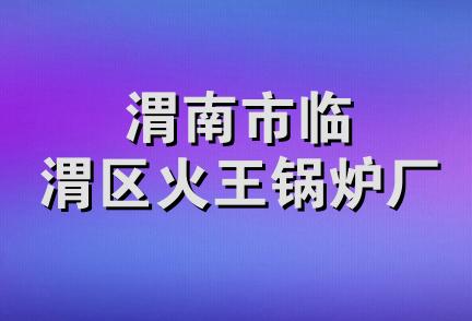 渭南市临渭区火王锅炉厂