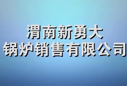 渭南新勇大锅炉销售有限公司