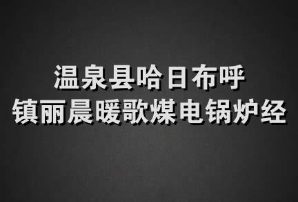 温泉县哈日布呼镇丽晨暖歌煤电锅炉经销店