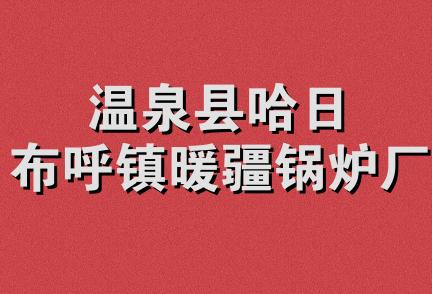 温泉县哈日布呼镇暖疆锅炉厂