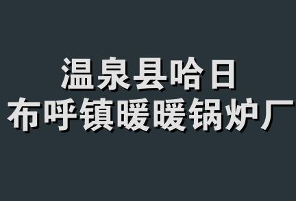 温泉县哈日布呼镇暖暖锅炉厂