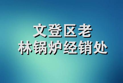 文登区老林锅炉经销处