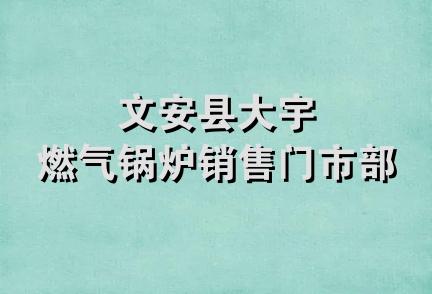文安县大宇燃气锅炉销售门市部