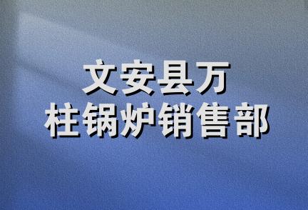 文安县万柱锅炉销售部