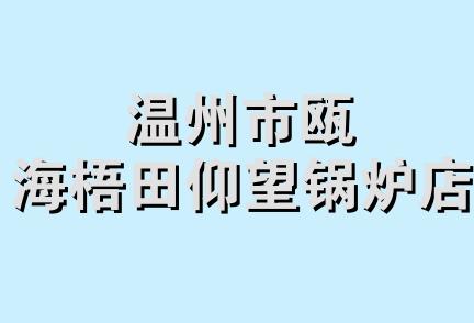 温州市瓯海梧田仰望锅炉店