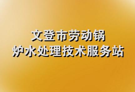 文登市劳动锅炉水处理技术服务站