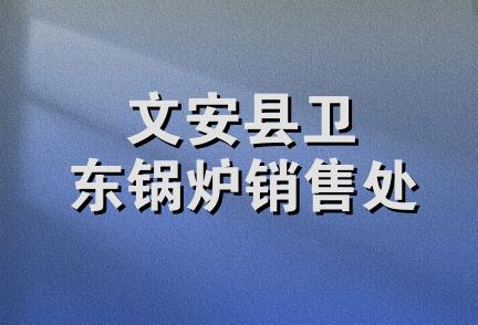 文安县卫东锅炉销售处