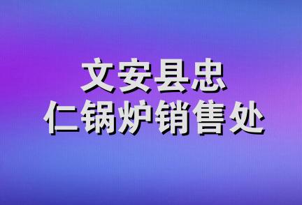 文安县忠仁锅炉销售处