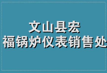 文山县宏福锅炉仪表销售处