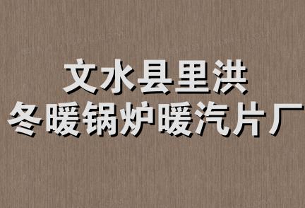 文水县里洪冬暖锅炉暖汽片厂