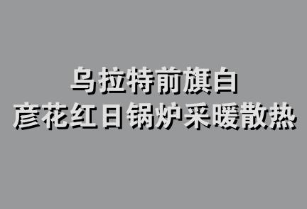 乌拉特前旗白彦花红日锅炉采暖散热器