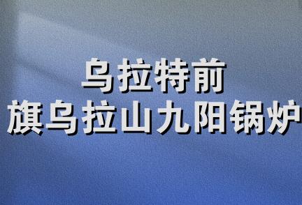 乌拉特前旗乌拉山九阳锅炉