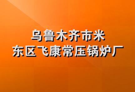 乌鲁木齐市米东区飞康常压锅炉厂