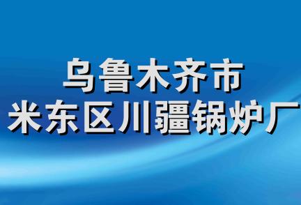 乌鲁木齐市米东区川疆锅炉厂