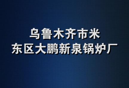 乌鲁木齐市米东区大鹏新泉锅炉厂