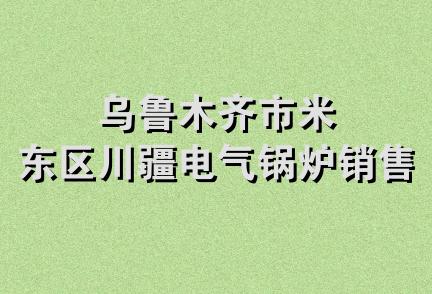 乌鲁木齐市米东区川疆电气锅炉销售部