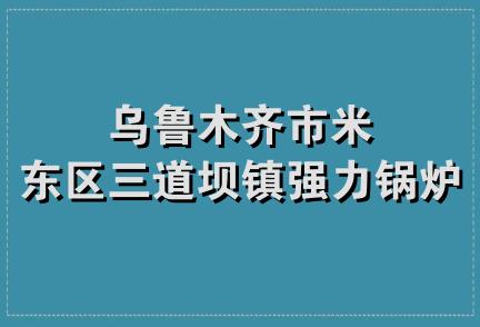 乌鲁木齐市米东区三道坝镇强力锅炉厂