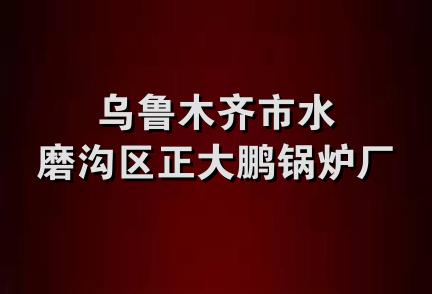 乌鲁木齐市水磨沟区正大鹏锅炉厂