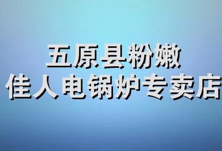 五原县粉嫩佳人电锅炉专卖店