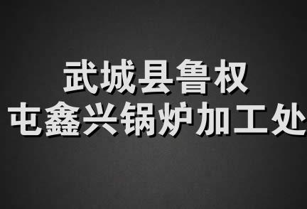 武城县鲁权屯鑫兴锅炉加工处