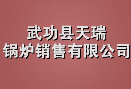 武功县天瑞锅炉销售有限公司