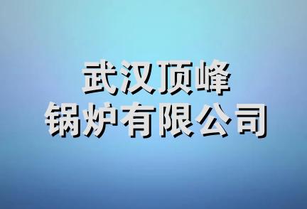 武汉顶峰锅炉有限公司