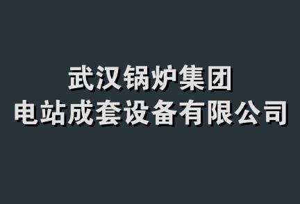 武汉锅炉集团电站成套设备有限公司