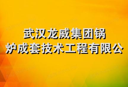 武汉龙威集团锅炉成套技术工程有限公司