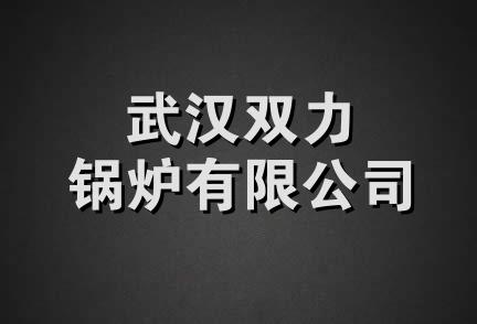 武汉双力锅炉有限公司