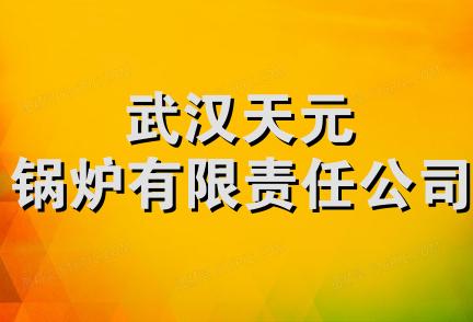 武汉天元锅炉有限责任公司