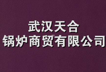 武汉天合锅炉商贸有限公司